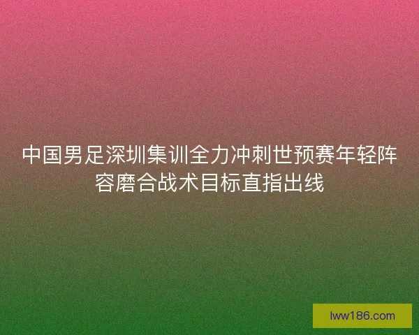 中国男足深圳集训全力冲刺世预赛年轻阵容磨合战术目标直指出线