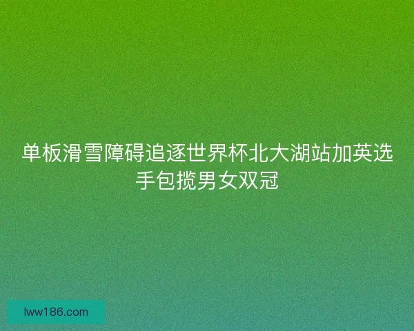 单板滑雪障碍追逐世界杯北大湖站加英选手包揽男女双冠